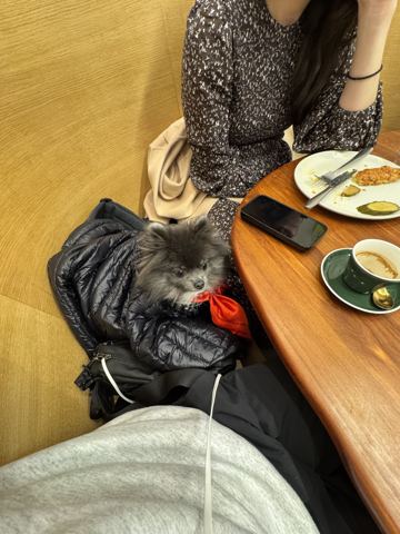 Shared celebration photo 39