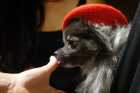 Shared celebration photo 34