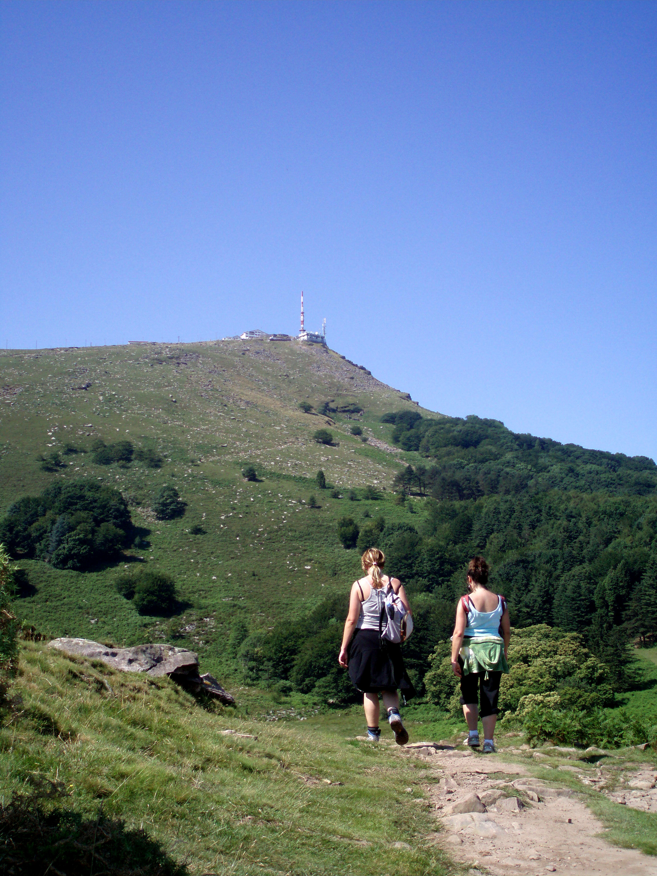 A hiking path climbing the green slopes of La Rhune